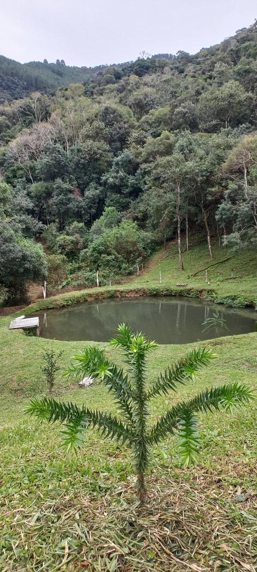 Сasa de vacaciones Vo Nana *