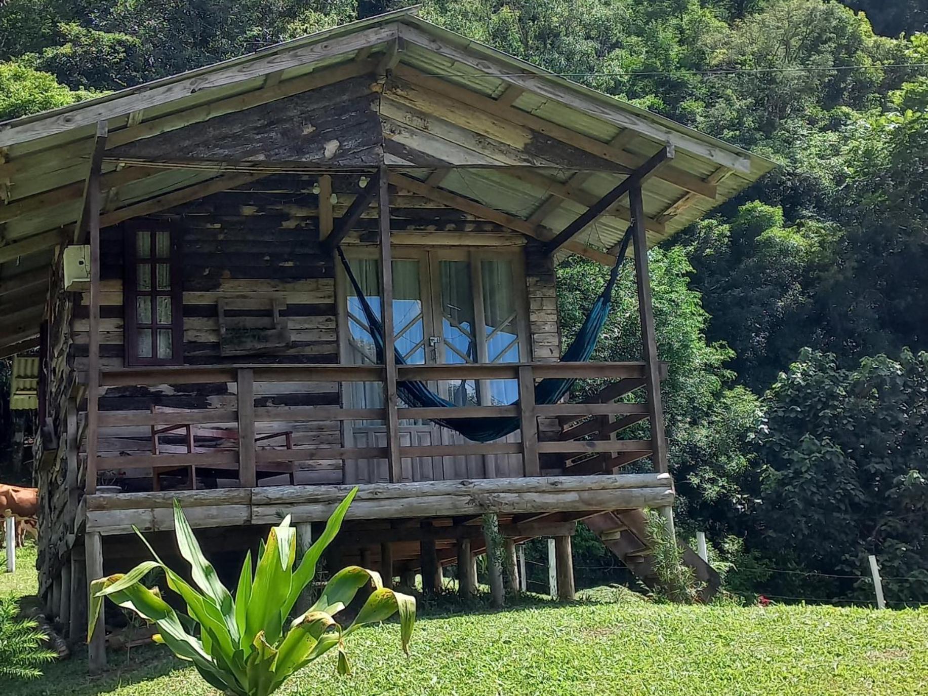 Vo Nana Сasa de vacaciones *